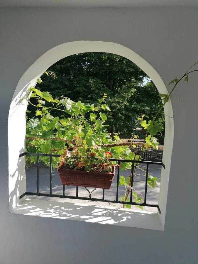 Villa Steffi غولدن ساندز المظهر الخارجي الصورة