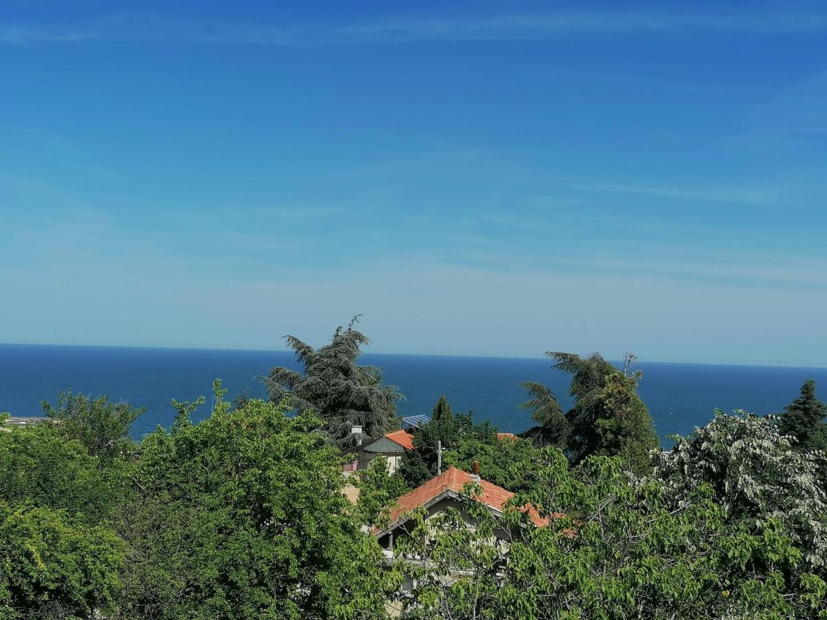Villa Steffi غولدن ساندز المظهر الخارجي الصورة