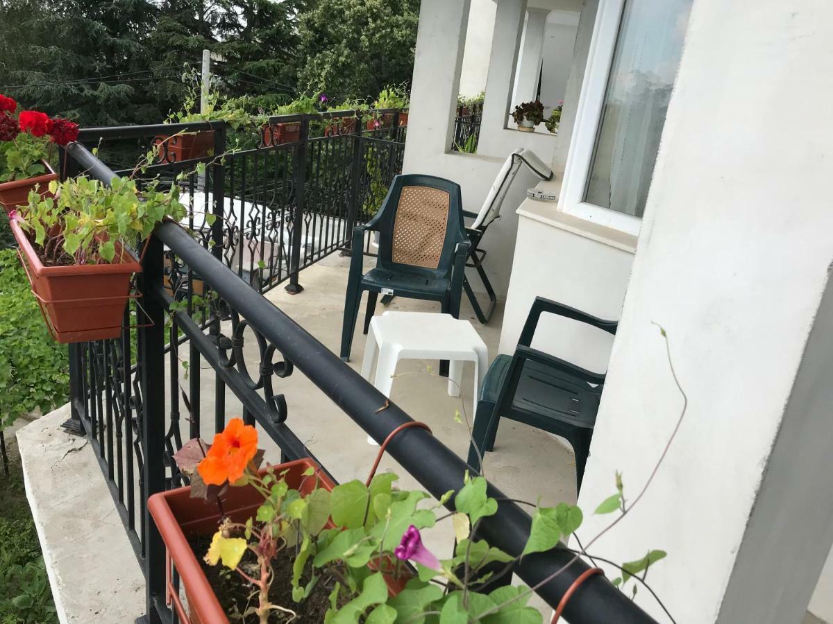 Villa Steffi غولدن ساندز المظهر الخارجي الصورة