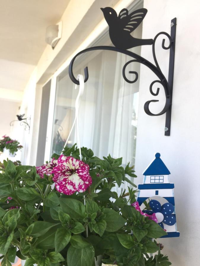 Villa Steffi غولدن ساندز المظهر الخارجي الصورة